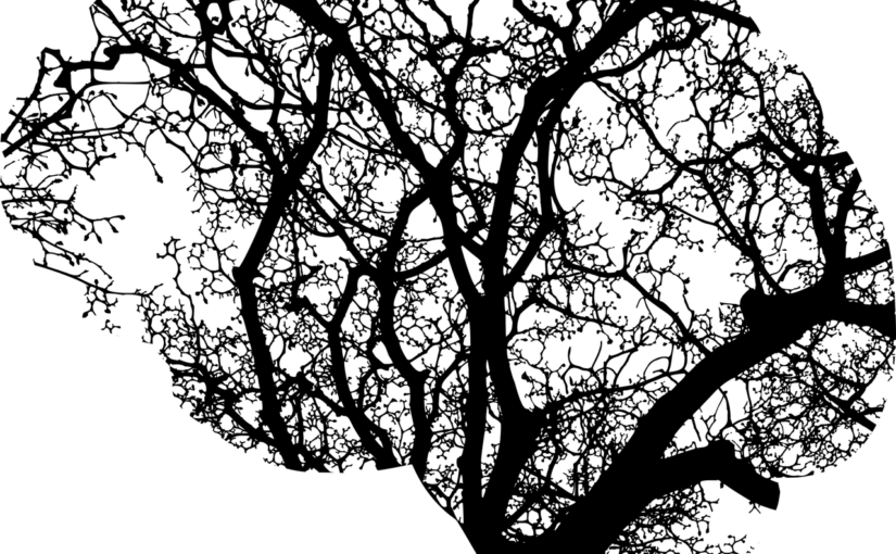 Machine Learning Bootcamp