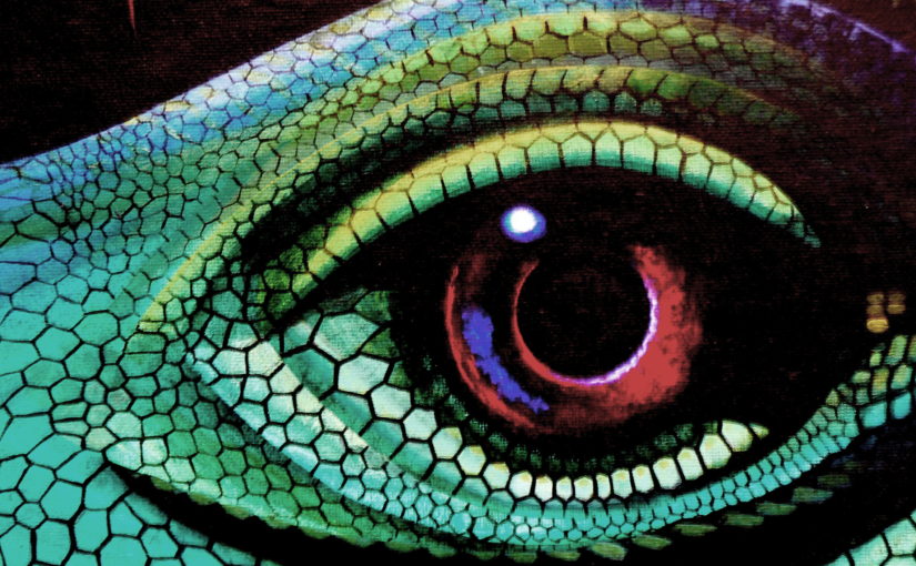 Convolutional Neural Networks and Image Processing